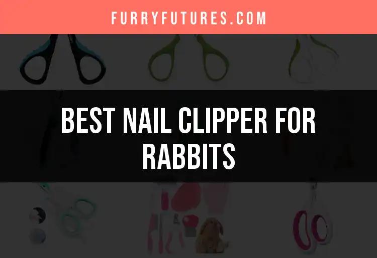 15 Best Nail Clippers for Rabbits: A Quick Guide