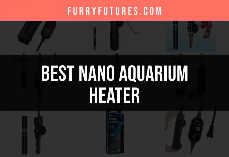 14 Best Nano Aquarium Heaters for Your Fishy Friends