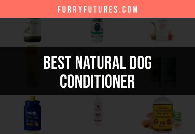14 Best Natural Dog Conditioners for Luxurious Coats