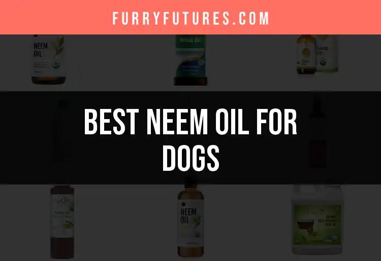 15 Best Neem Oil for Dogs You Need to Know About