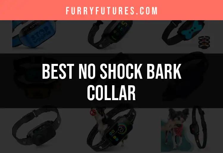 14 Best No Shock Bark Collars for Calm Canines