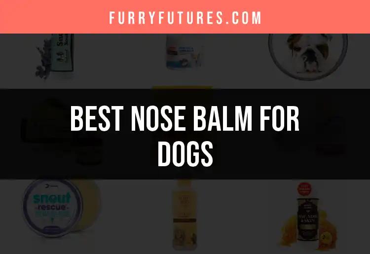 15 Best Nose Balms for Dogs to Keep Their Snouts Happy