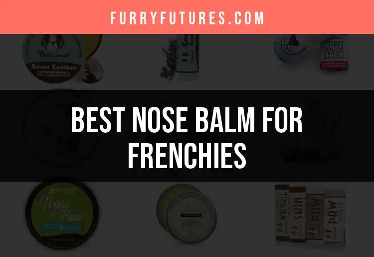 14 Best Nose Balms for Frenchies to Keep Their Snouts Happy