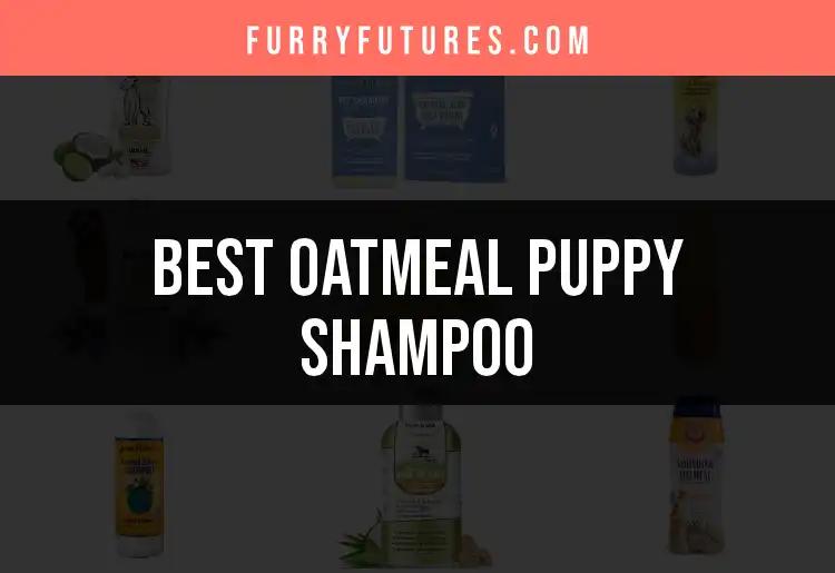 18 Best Oatmeal Puppy Shampoos for Happy, Healthy Pups