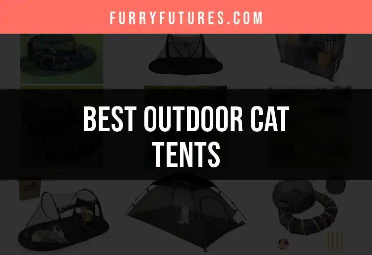 14 Best Outdoor Cat Tents for Happy Adventurous Kitties