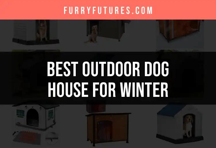 13 Cozy Outdoor Dog Houses for Winter Comfort