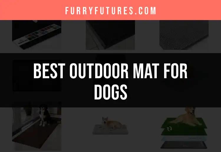 17 Best Outdoor Mats for Dogs You Need to Consider