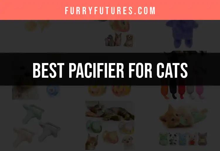 13 Best Pacifiers for Cats: Top Picks for Your Feline Friend