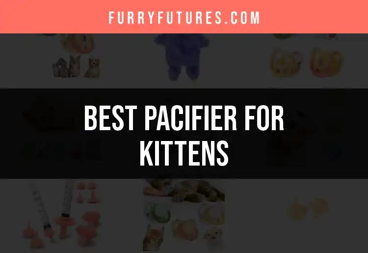 Top 10 Pacifiers for Kittens to Keep Them Happy