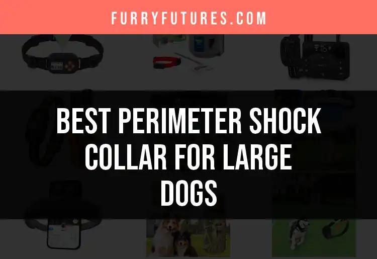 17 Best Perimeter Shock Collars for Large Dogs