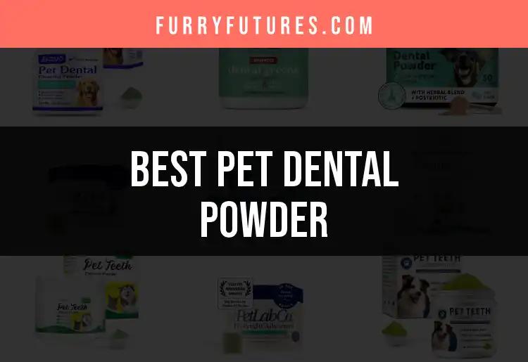13 Top Pet Dental Powders for Sparkling Smiles