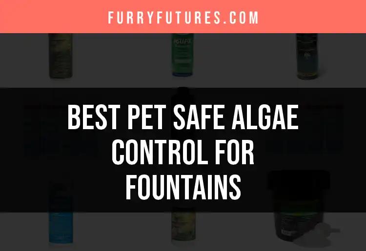 15 Top Picks for Pet Safe Algae Control in Fountains