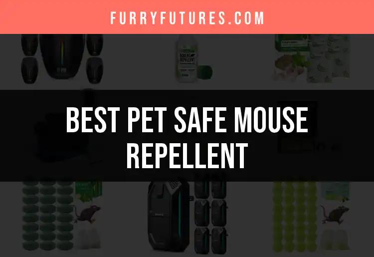 18 Effective Pet Safe Mouse Repellents You Need to Try