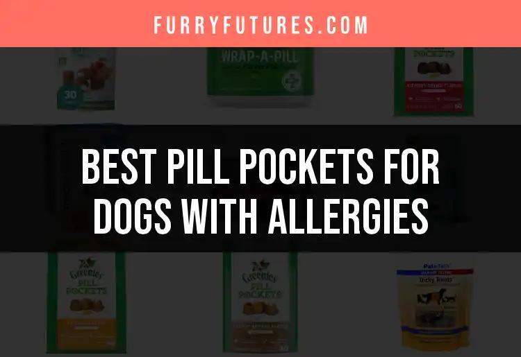 11 Best Pill Pockets for Dogs with Allergies