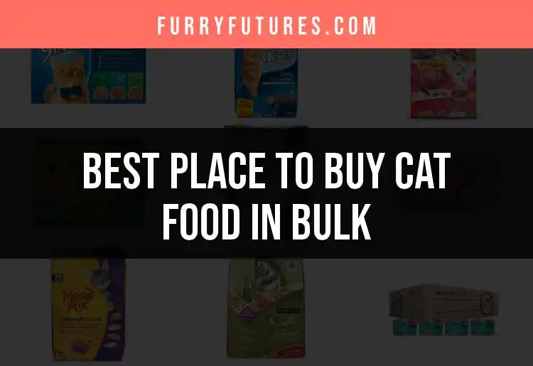 13 Best Places to Buy Cat Food in Bulk