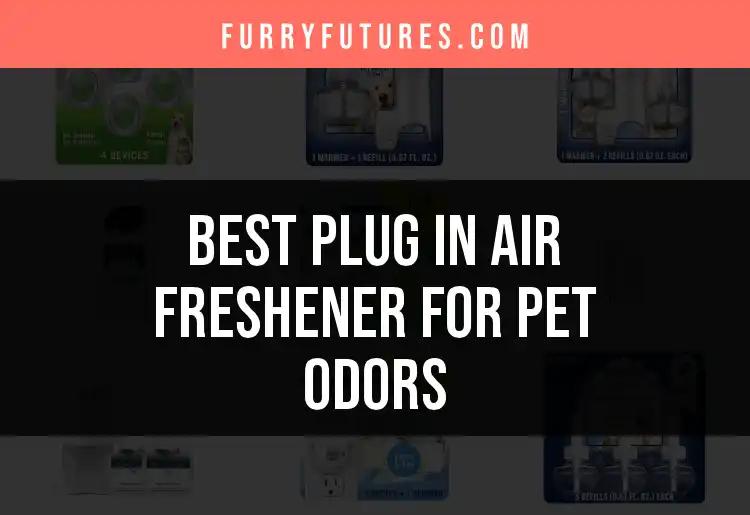 19 Best Plug In Air Fresheners for Pet Odors