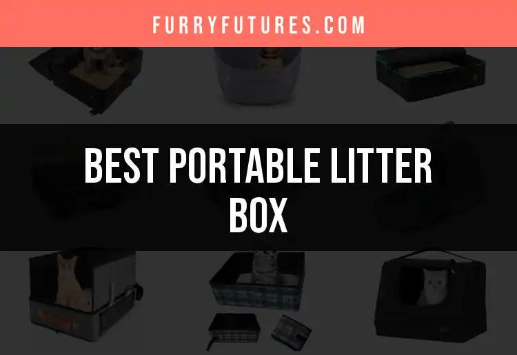 11 Portable Litter Boxes That Make Cat Care a Breeze
