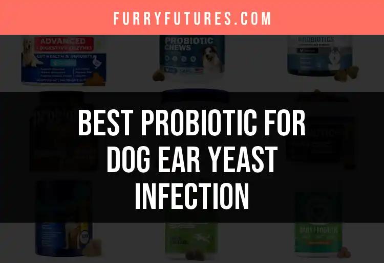 17 Best Probiotics for Dog Ear Yeast Infections