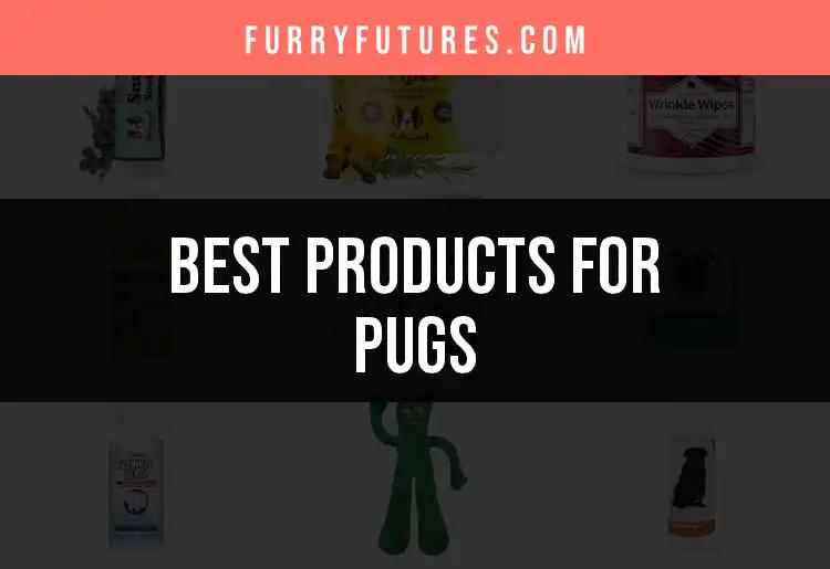 12 Must-Have Products for Pugs to Pamper Your Pup