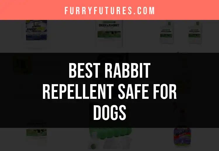 16 Best Rabbit Repellents Safe for Dogs to Keep Your Yard Clear
