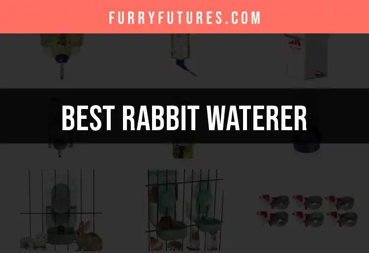 Top 10 Rabbit Waterers for Happy Hops