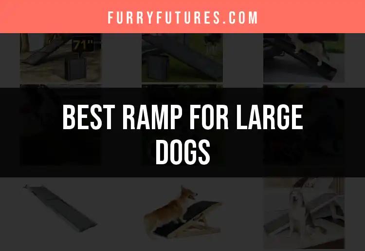 19 Best Ramps for Large Dogs to Enhance Mobility