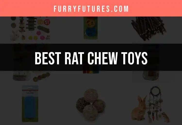 13 Best Rat Chew Toys for Happy, Healthy Pets