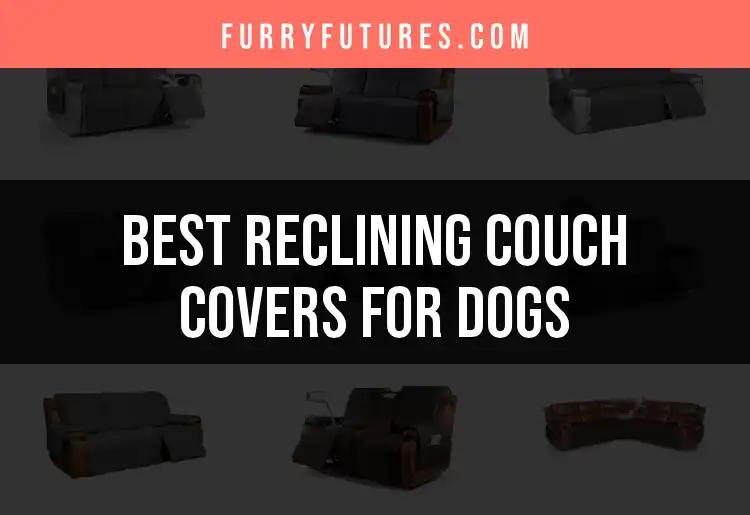 11 Best Reclining Couch Covers for Dogs to Protect Your Home