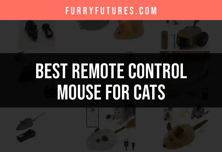 13 Best Remote Control Mice for Cats to Keep Them Engaged