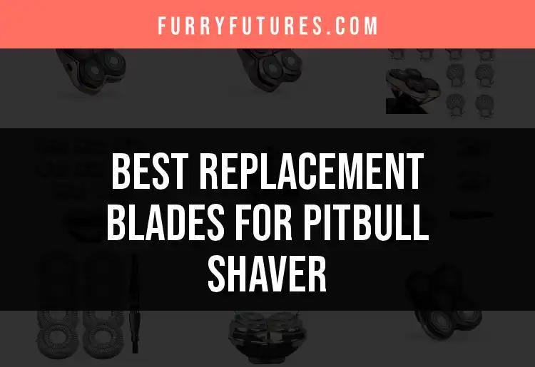 Top 10 Replacement Blades for Pitbull Shaver