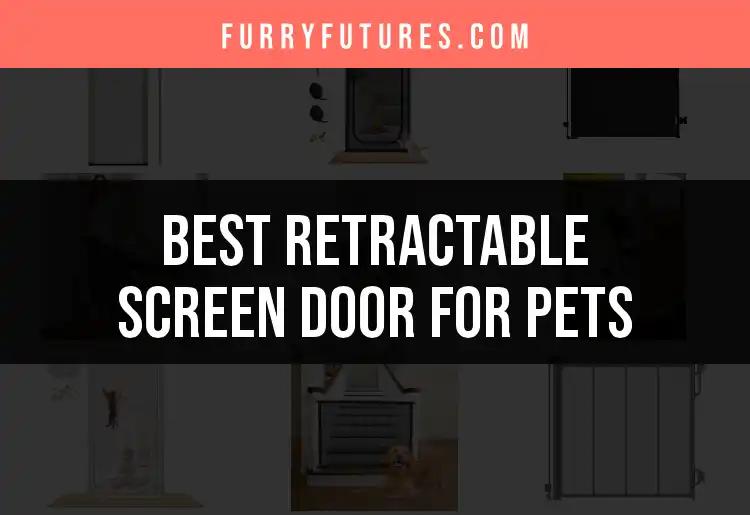 12 Top Retractable Screen Doors for Pets to Enhance Your Home