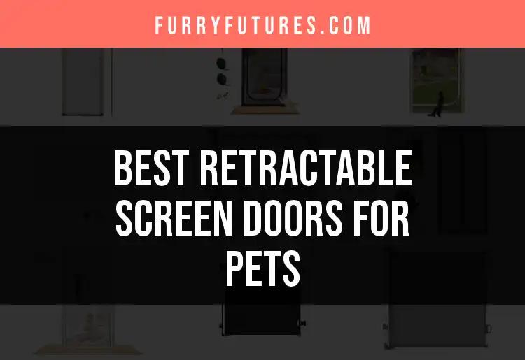 12 Must-Have Retractable Screen Doors for Pets