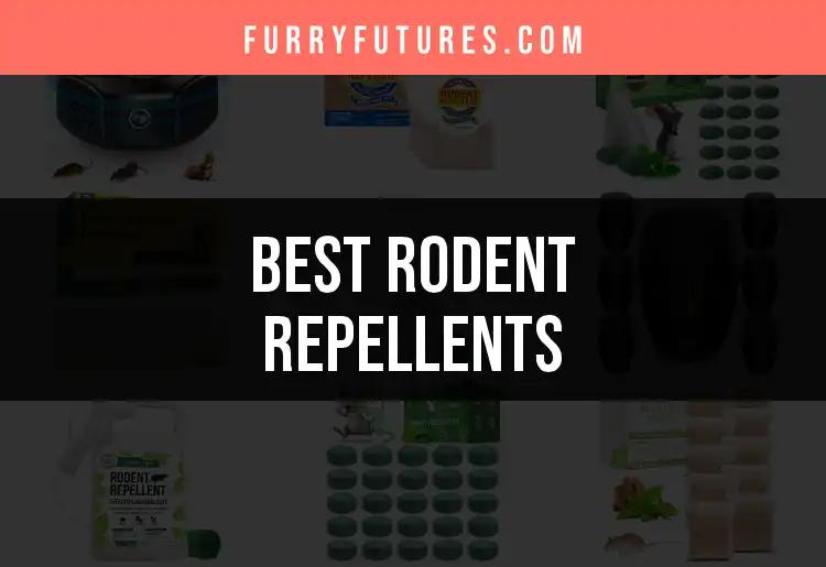 17 Best Rodent Repellents for a Pest-Free Home