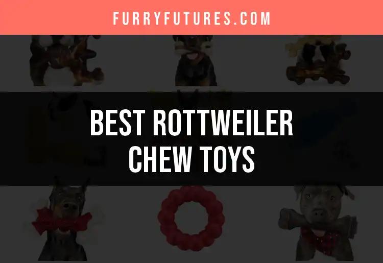17 Rottweiler Chew Toys That Will Keep Them Happy