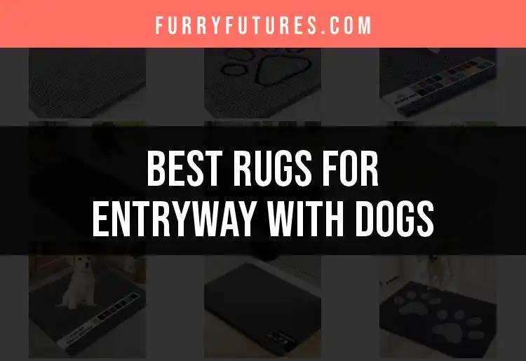 12 Best Rugs for Entryway with Dogs You’ll Love