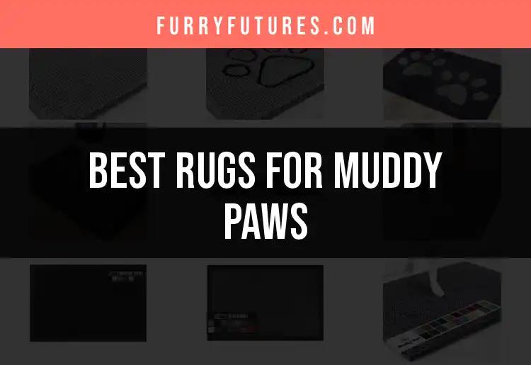 14 Best Rugs for Muddy Paws: Keep Your Floors Clean