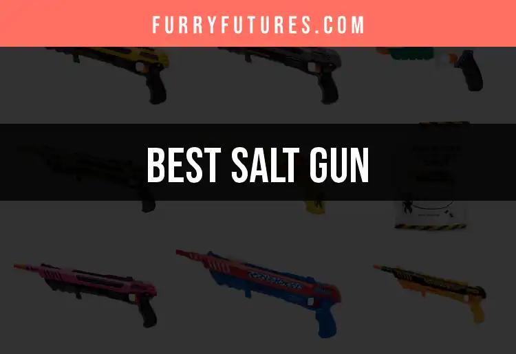 11 Best Salt Guns for Pest Control You Need to Know