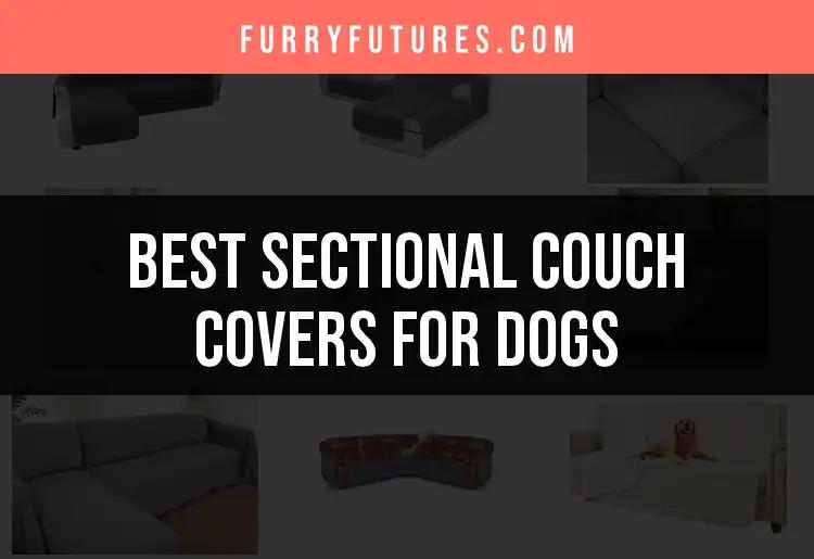 16 Best Sectional Couch Covers for Dogs You Should Consider
