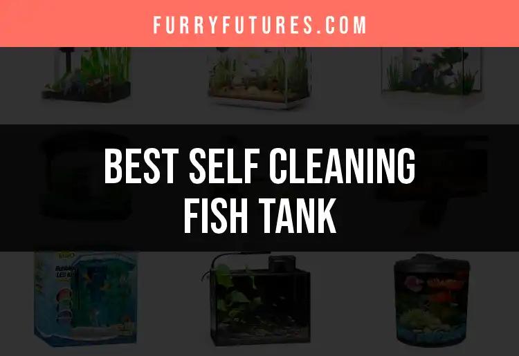15 Best Self Cleaning Fish Tanks for Effortless Aquariums
