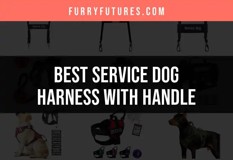 11 Best Service Dog Harnesses With Handle for Every Need