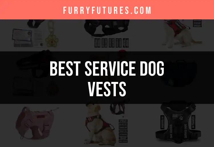 11 Best Service Dog Vests for Every Canine Companion