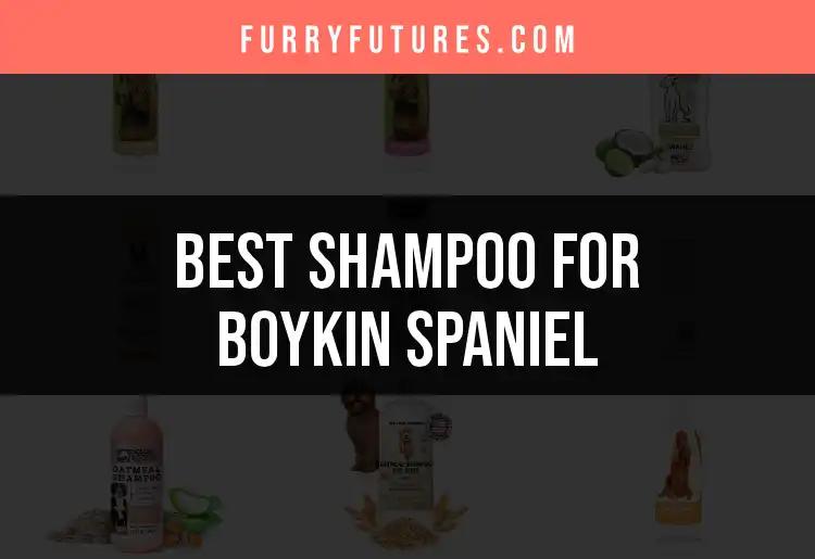 16 Best Shampoos for Your Boykin Spaniel's Perfect Coat