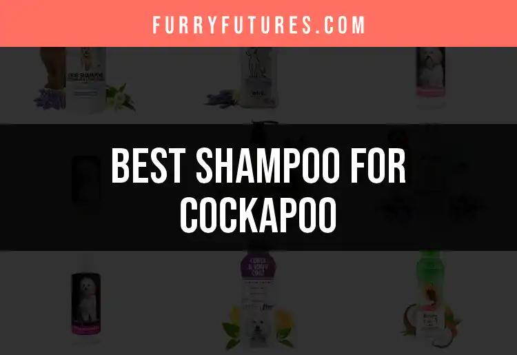 19 Best Shampoos for Cockapoo: Our Top Picks Unleashed