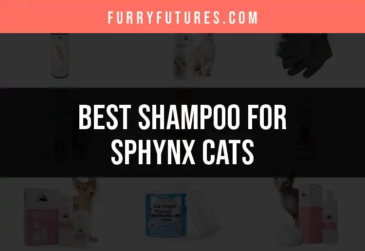 15 Must-Try Shampoos for Sphynx Cats