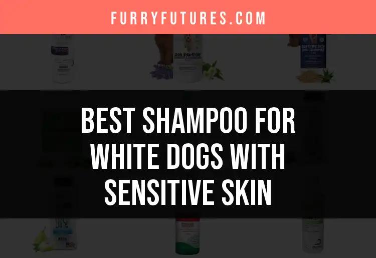18 Best Shampoos for White Dogs with Sensitive Skin