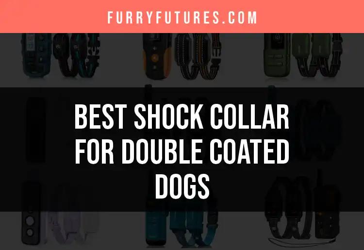 13 Best Shock Collars for Double Coated Dogs: Top Picks