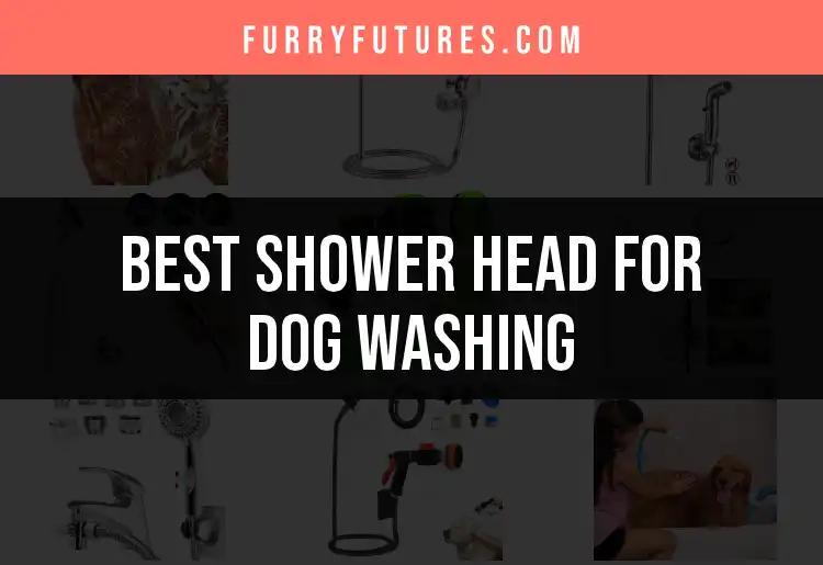 15 Best Shower Heads for Dog Washing You'll Love