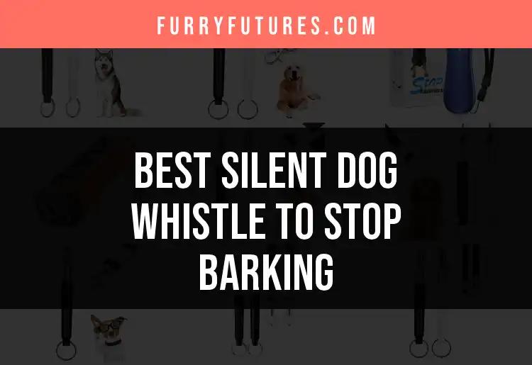 15 Best Silent Dog Whistles to Stop Barking