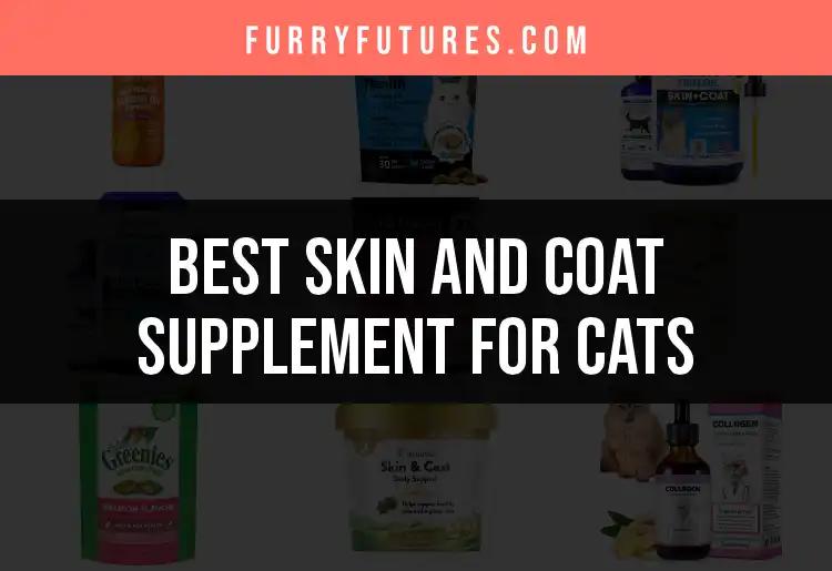 15 Best Skin and Coat Supplements for Cats