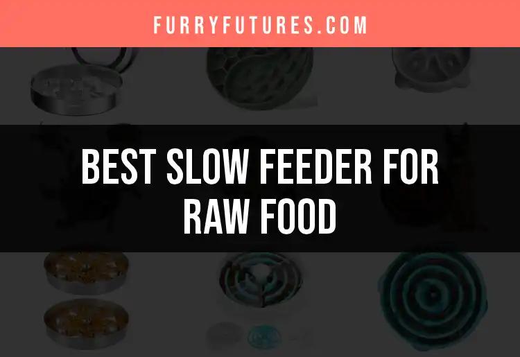 12 Must-Have Slow Feeders for Raw Food Lovers